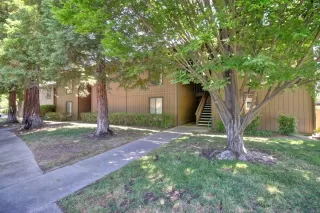 Photo #5: 224124203 Listing