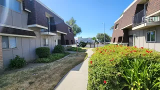 Photo #2: 224124566 Listing