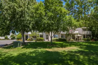 Photo #1: 224124735 Listing 