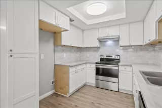 Photo #3: 224125339 Listing