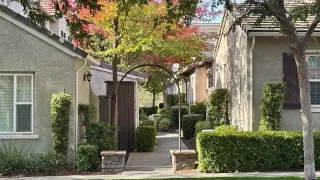 Photo #1: 224125416 Listing