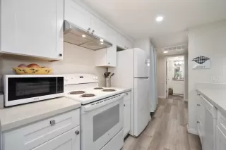 Photo #5: 224126130 Listing