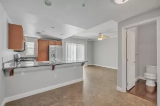 Photo #4: 224127752 Listing 