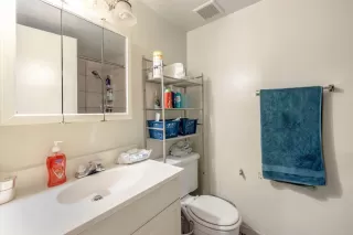 Photo #4: 224127784 Listing 