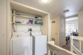 Photo #5: 224127784 Listing 