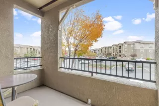 Photo #1: 224128471 Listing