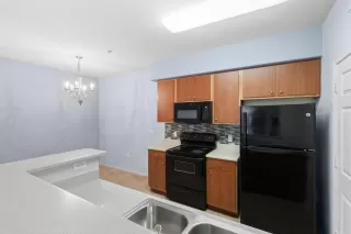 Photo #3: 224128471 Listing