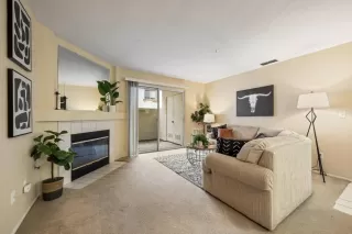 Photo #2: 224129041 Listing 