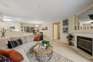 Photo #3: 224129041 Listing 