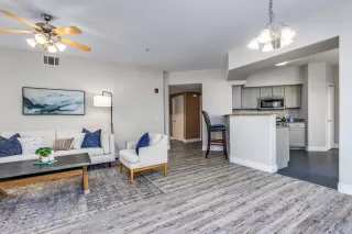 Photo #6: 224130182 Listing 