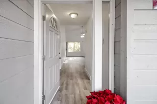 Photo #5: 224130685 Listing 