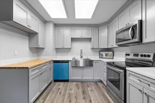 Photo #1: 224130695 Listing 