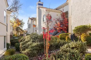 Photo #2: 224131205 Listing 