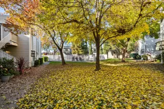 Photo #2: 224131615 Listing 