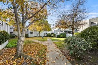 Photo #3: 224131615 Listing 