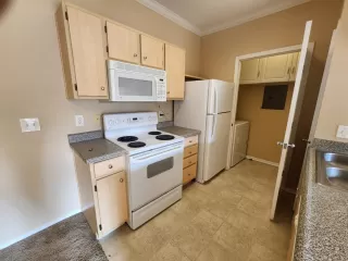 Photo #4: 224132270 Listing