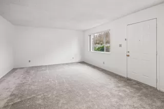 Photo #4: 224132556 Listing 