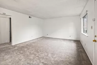 Photo #5: 224132556 Listing 