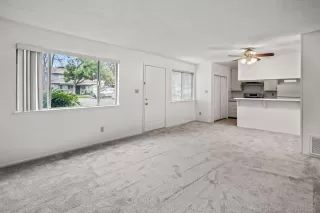 Photo #6: 224132556 Listing 