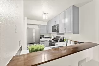 Photo #3: 224132878 Listing