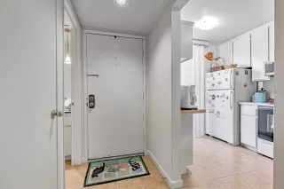 Photo #6: 224133438 Listing