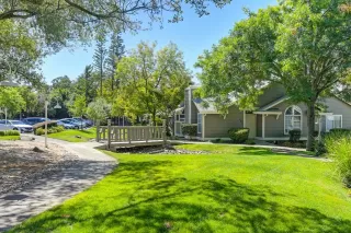Photo #1: 224153824 Listing 
