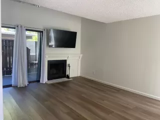 Photo #3: 225001253 Listing 