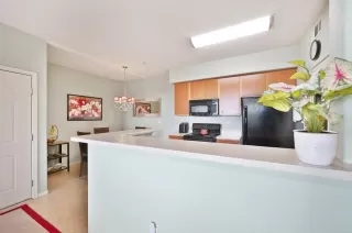 Photo #6: 225002248 Listing