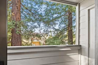 Photo #2: 225003427 Listing 