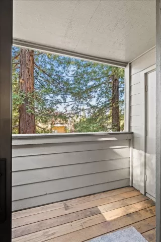 Photo #6: 225003427 Listing 