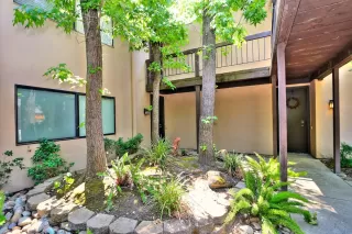 Photo #1: 225003511 Listing