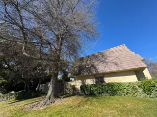 Photo #4: 225003537 Listing