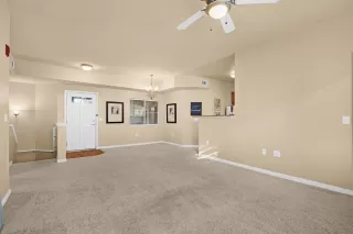 Photo #5: 225003665 Listing 