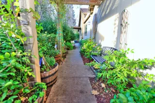 Photo #1: 225003920 Listing