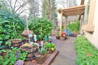 Photo #2: 225003920 Listing