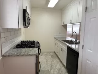 Photo #2: 225005307 Listing