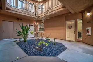 Photo #3: 225005738 Listing