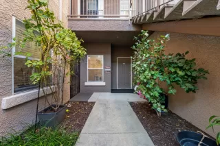 Photo #1: 225005980 Listing 