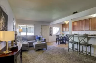 Photo #1: 225007564 Listing 