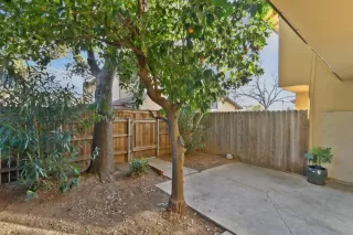 Photo #6: 225009110 Listing
