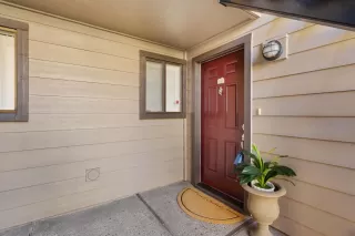 Photo #1: 225009220 Listing 