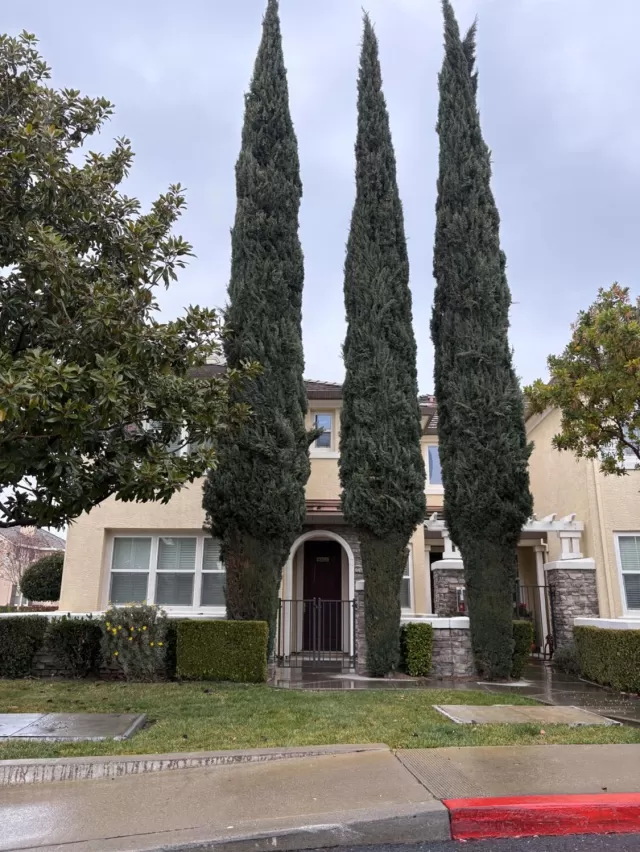 MLS: 225010030 Condo For Sale