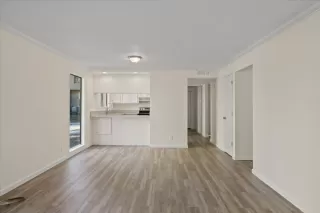 Photo #4: 225010832 Listing 