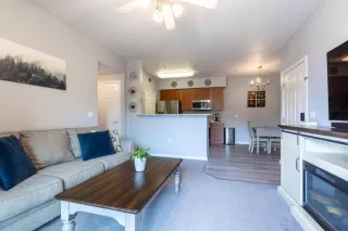 Photo #3: 225010899 Listing