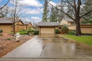 Photo #1: 225012105 Listing 