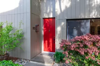 Photo #1: 225014458 Listing 