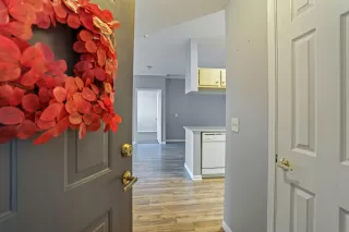 Photo #3: 225014481 Listing