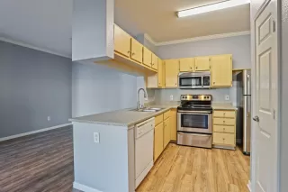 Photo #4: 225014481 Listing