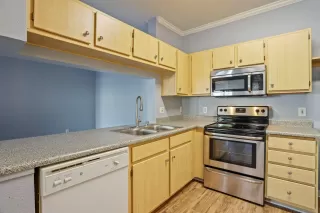 Photo #5: 225014481 Listing