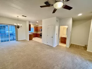 Photo #5: 225014571 Listing